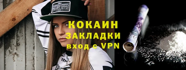 ГАЛЛЮЦИНОГЕННЫЕ ГРИБЫ Ладушкин