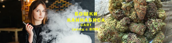ГАЛЛЮЦИНОГЕННЫЕ ГРИБЫ Ладушкин