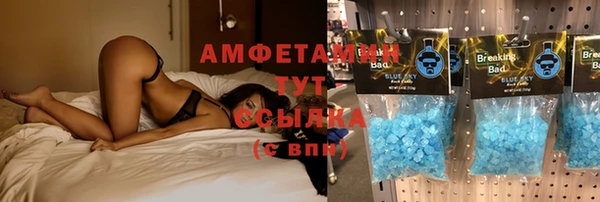 ГАЛЛЮЦИНОГЕННЫЕ ГРИБЫ Ладушкин