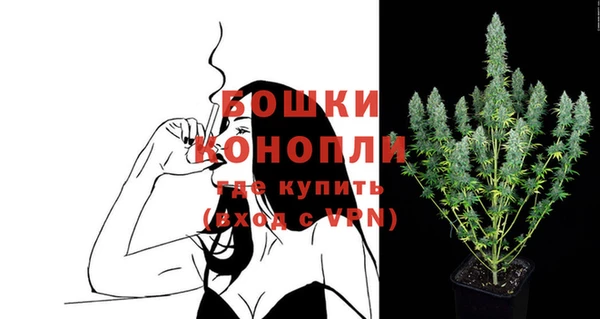 ГАЛЛЮЦИНОГЕННЫЕ ГРИБЫ Ладушкин