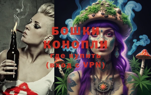 ГАЛЛЮЦИНОГЕННЫЕ ГРИБЫ Ладушкин