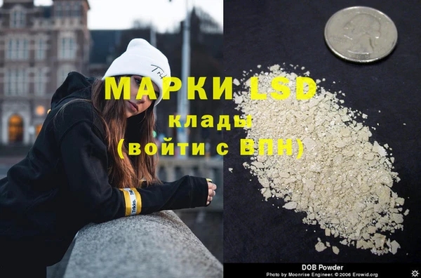 ГАЛЛЮЦИНОГЕННЫЕ ГРИБЫ Ладушкин