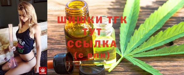 ГАЛЛЮЦИНОГЕННЫЕ ГРИБЫ Ладушкин
